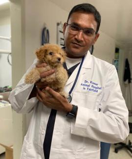 Dr. Anil Kumar Gutta Dr. Anil Kumar Gutta