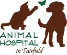 Animal Hospital in Fairfield Animal Hospital in Fairfield