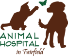 Animal Hospital in Fairfield